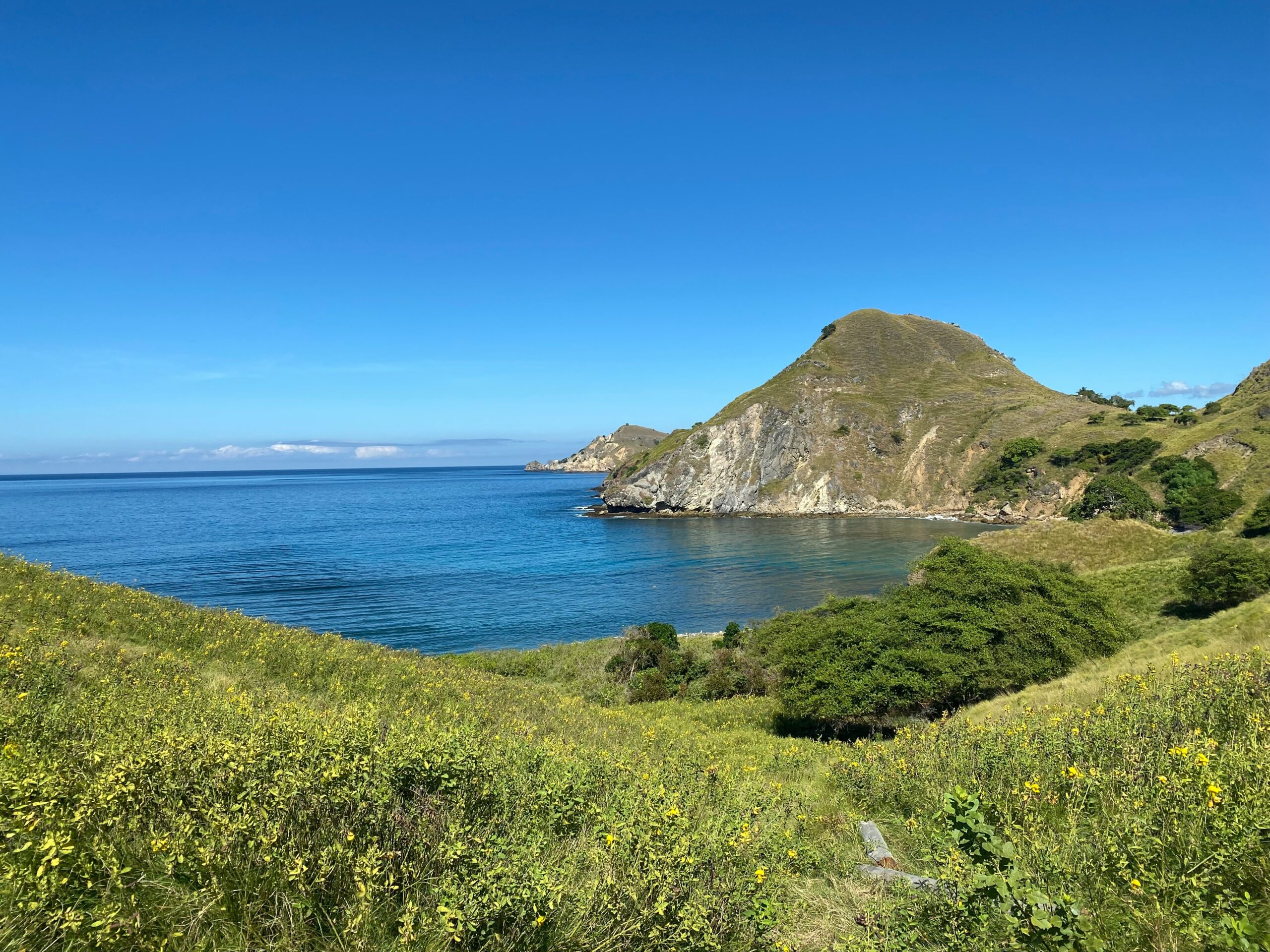 fifani cahyadi z HzYvmrYFQ unsplash komodo national park