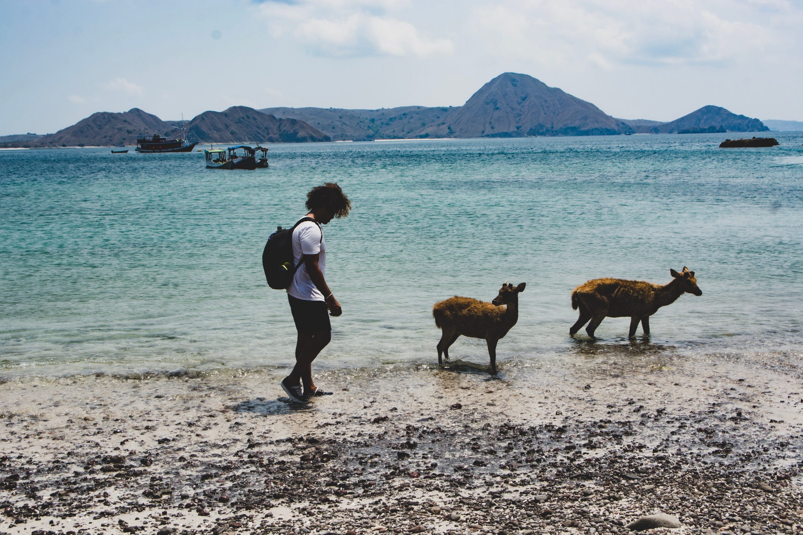 komodo national park