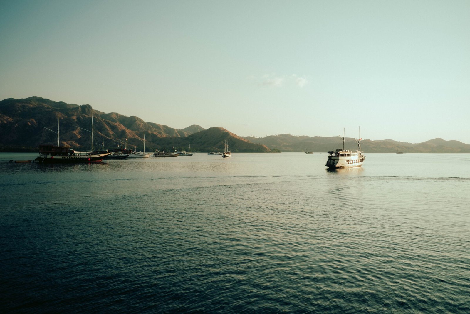 marine conservation