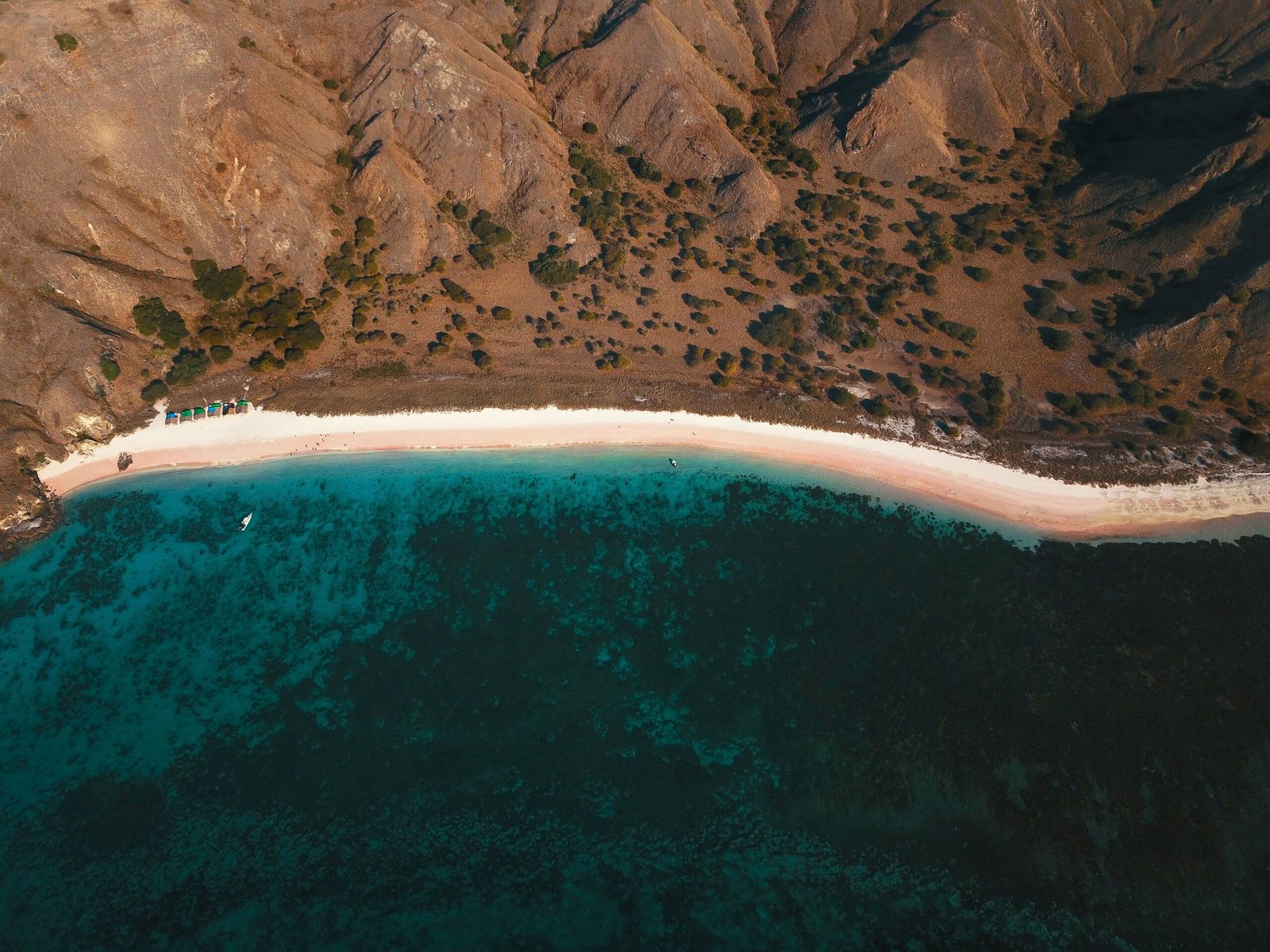 marine conservation