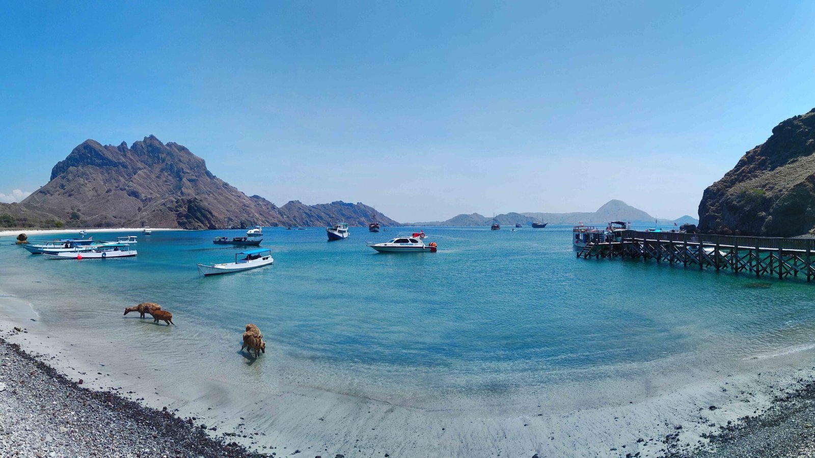 komodo national park