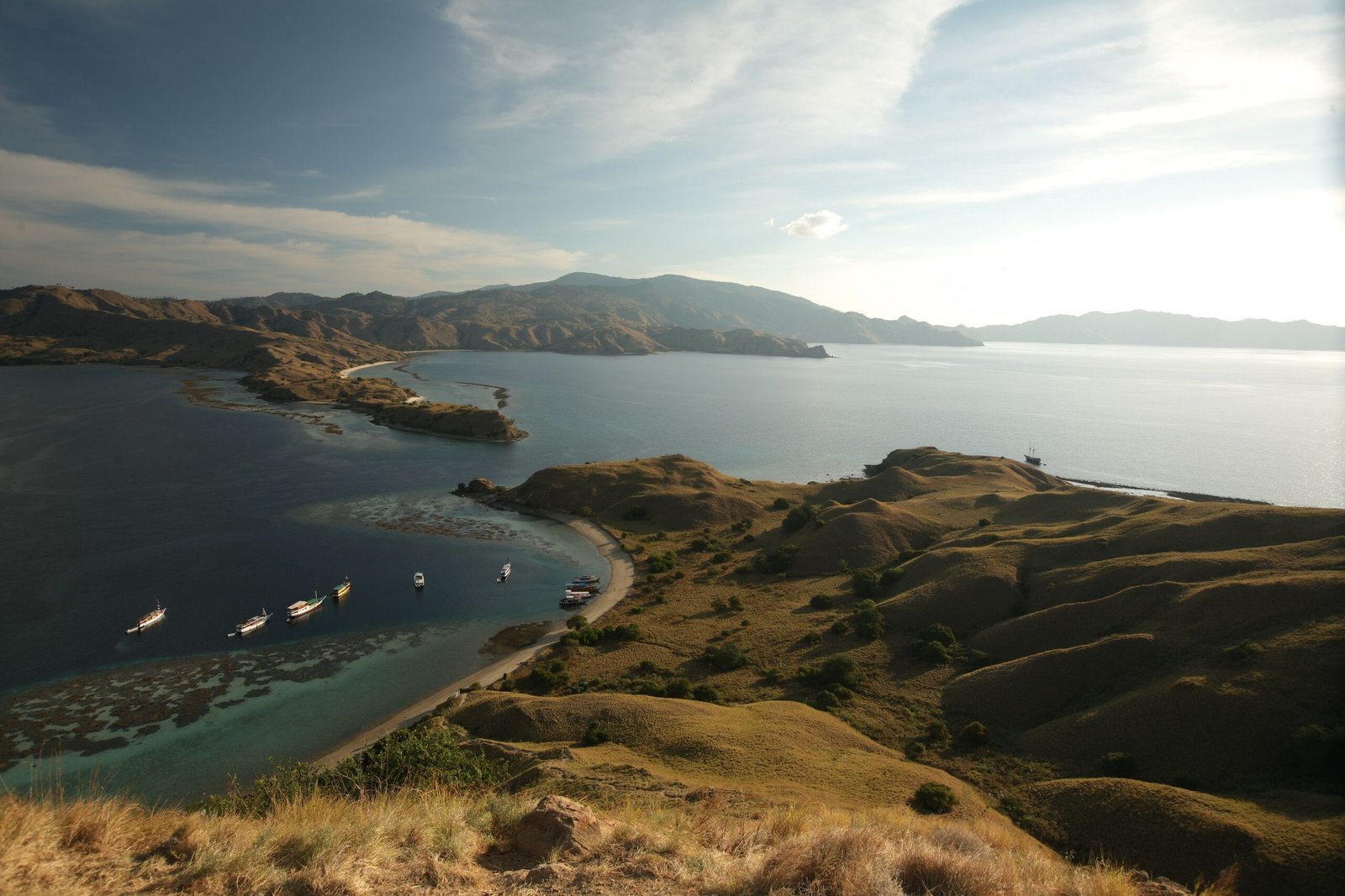 komodo