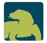 logo modo