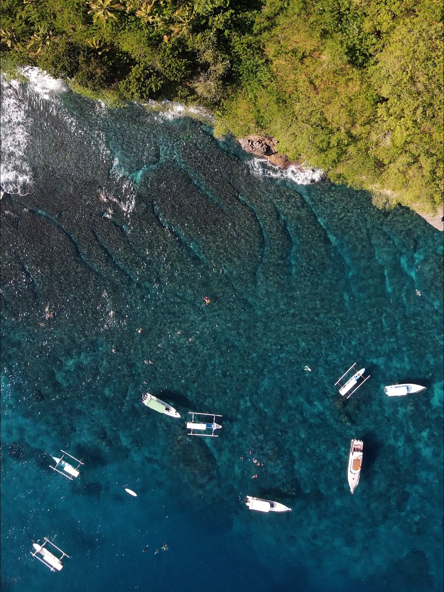 komodo private tour