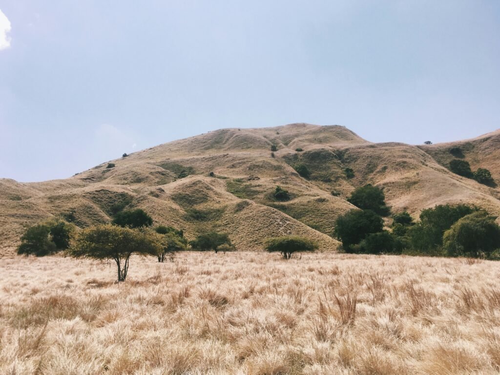 Gili Lawa Destinations