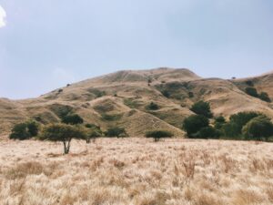 Gili Lawa Destinations