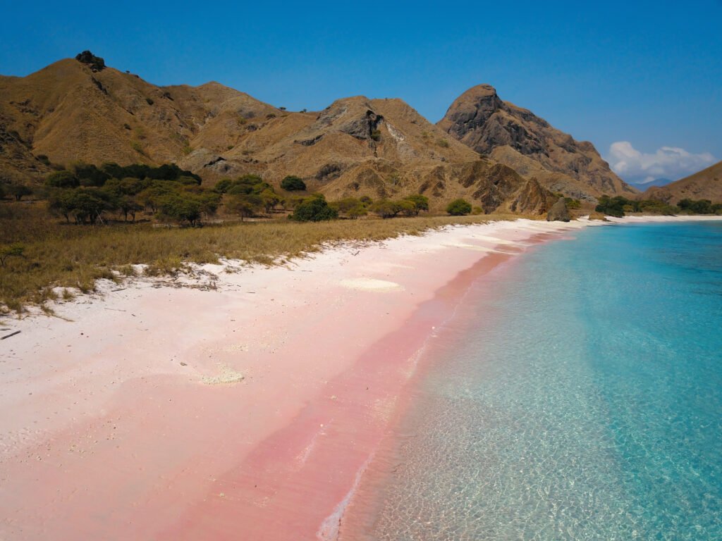 pink beach
