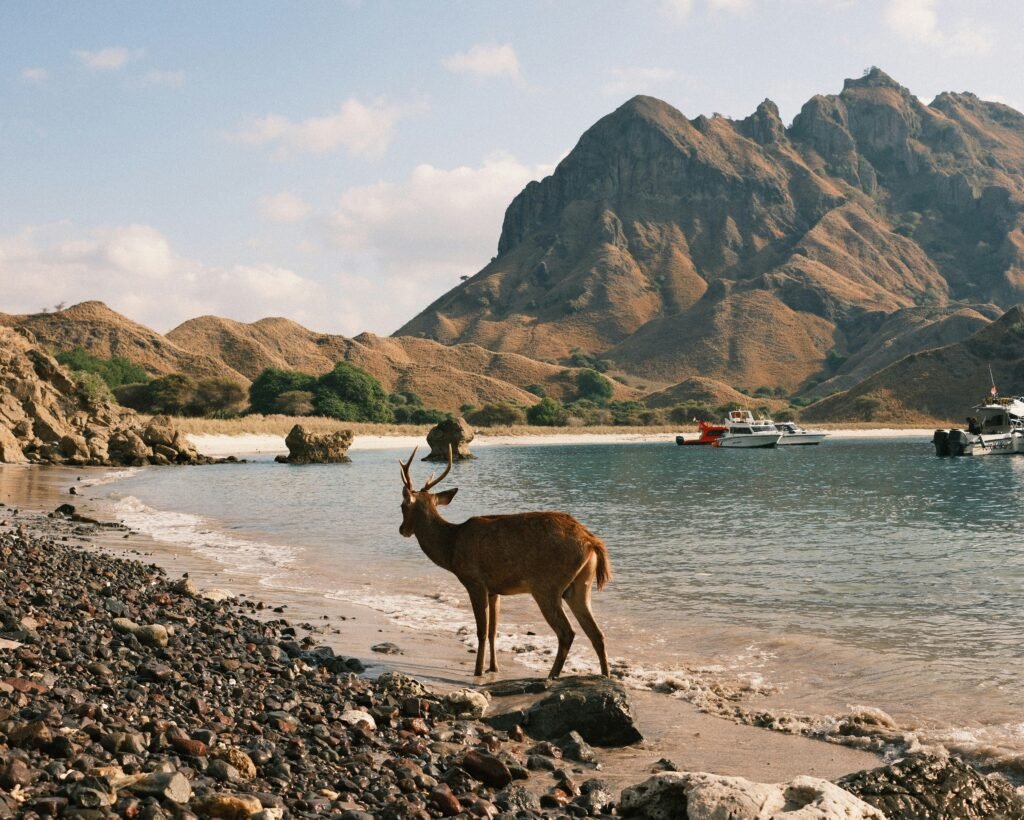 labuan bajo