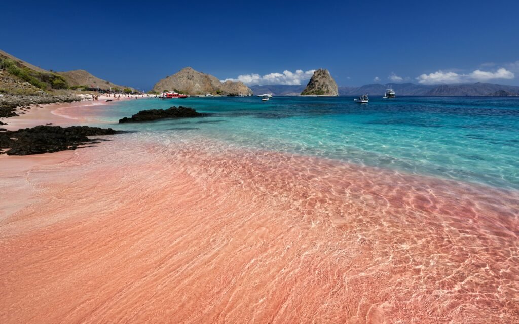 pink beach komodo
