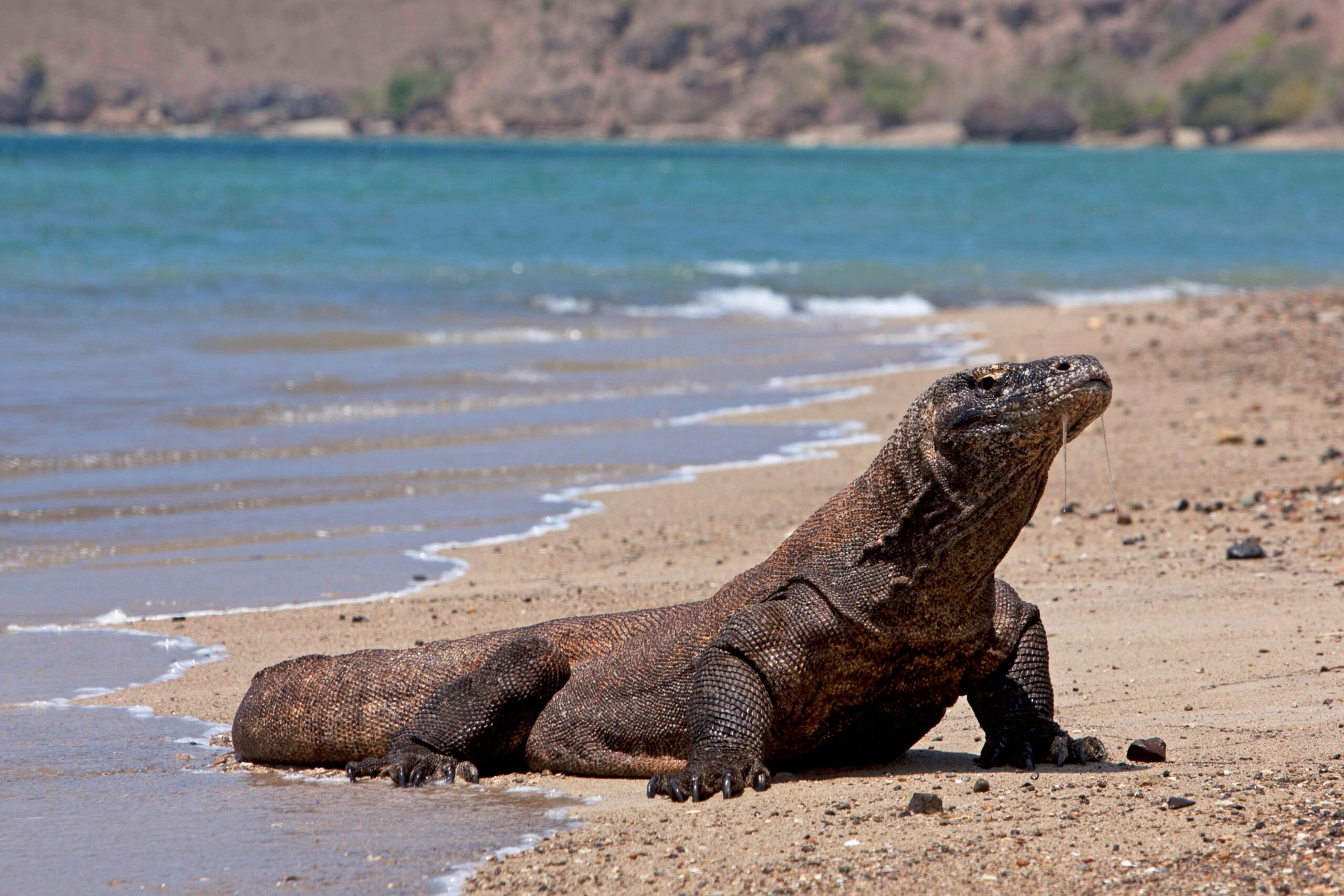 island hopping