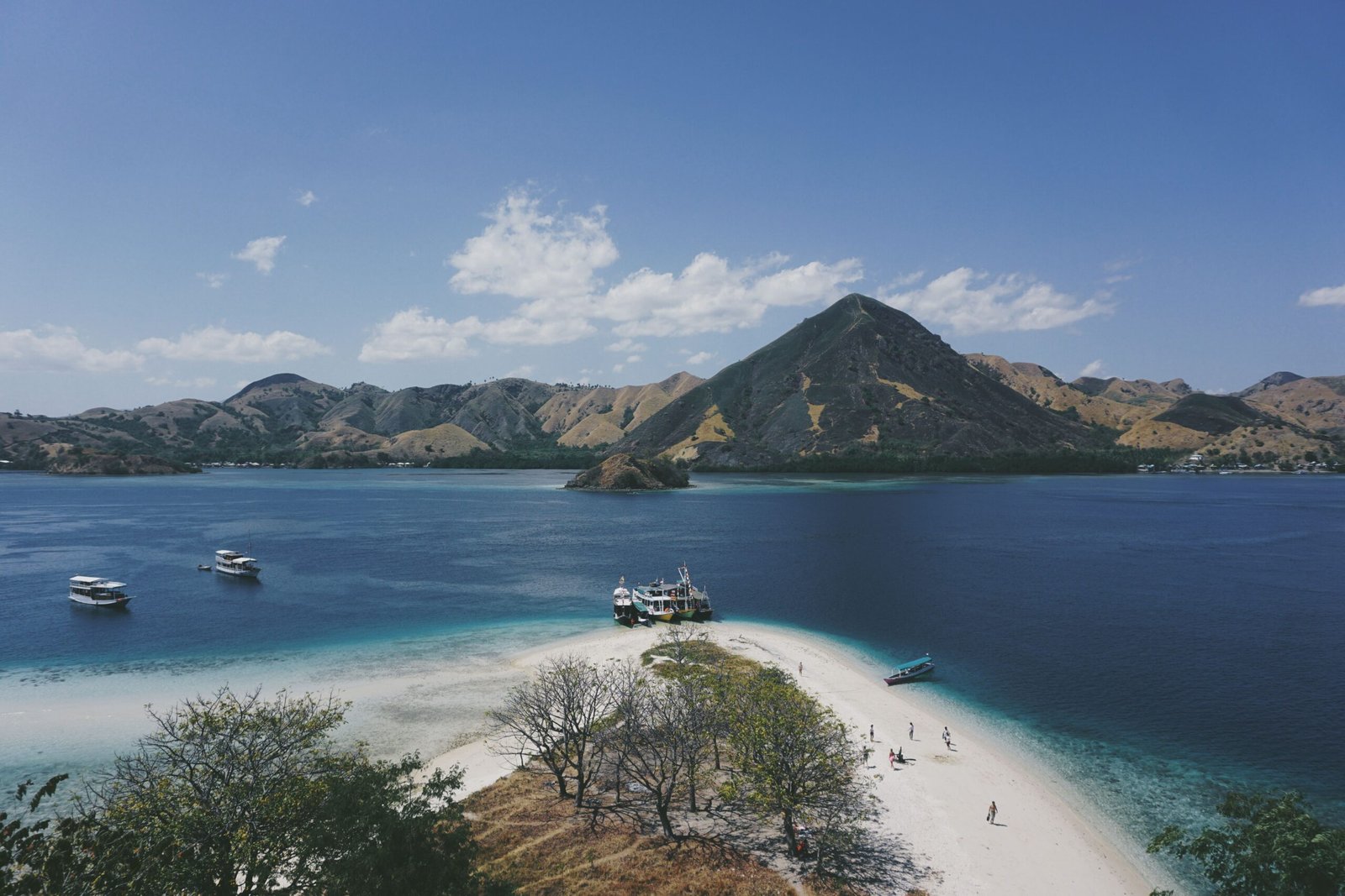 marine conservation