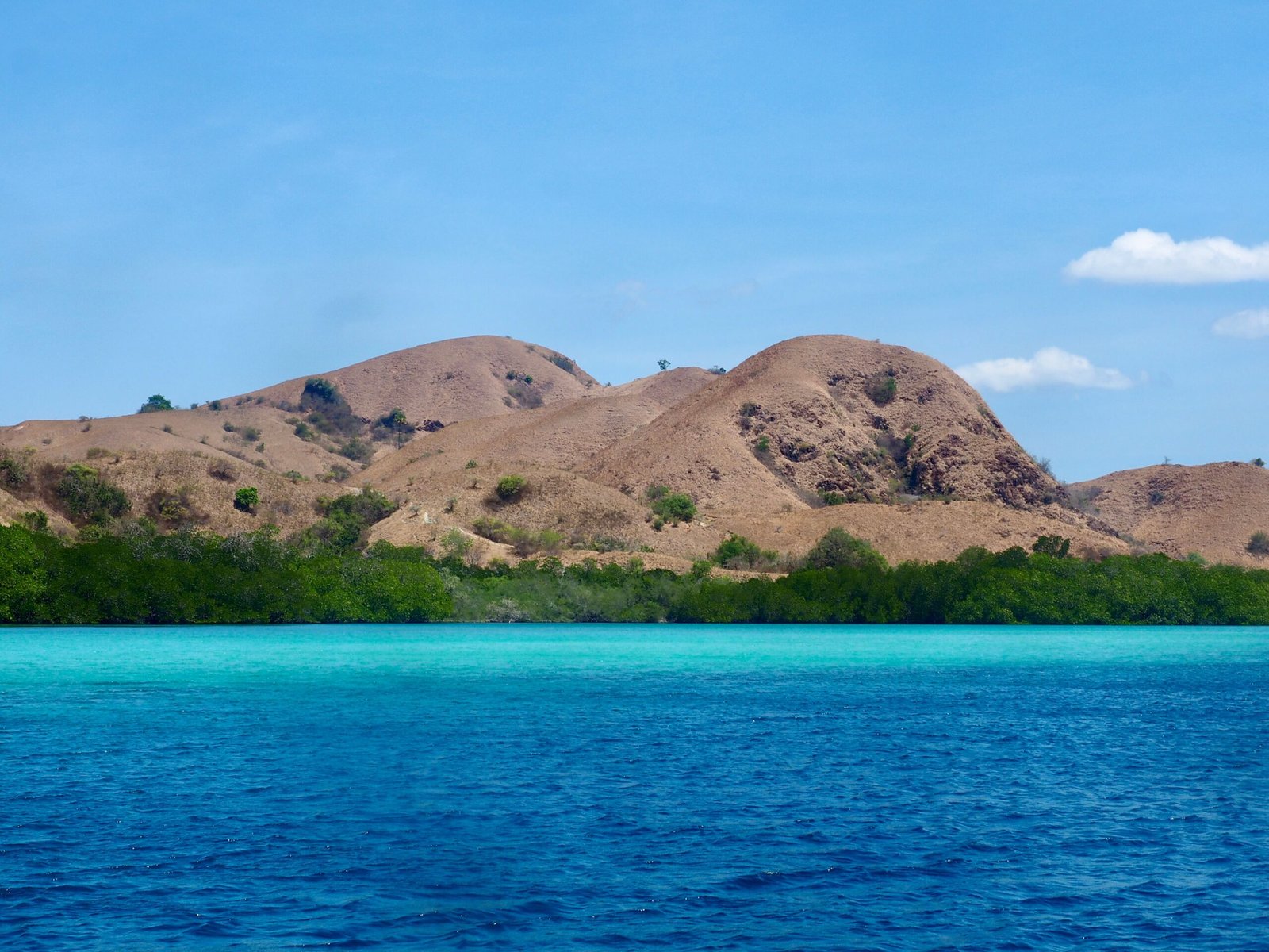 komodo