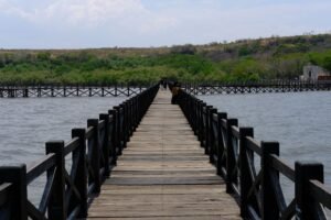 kalong island