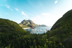 komodo