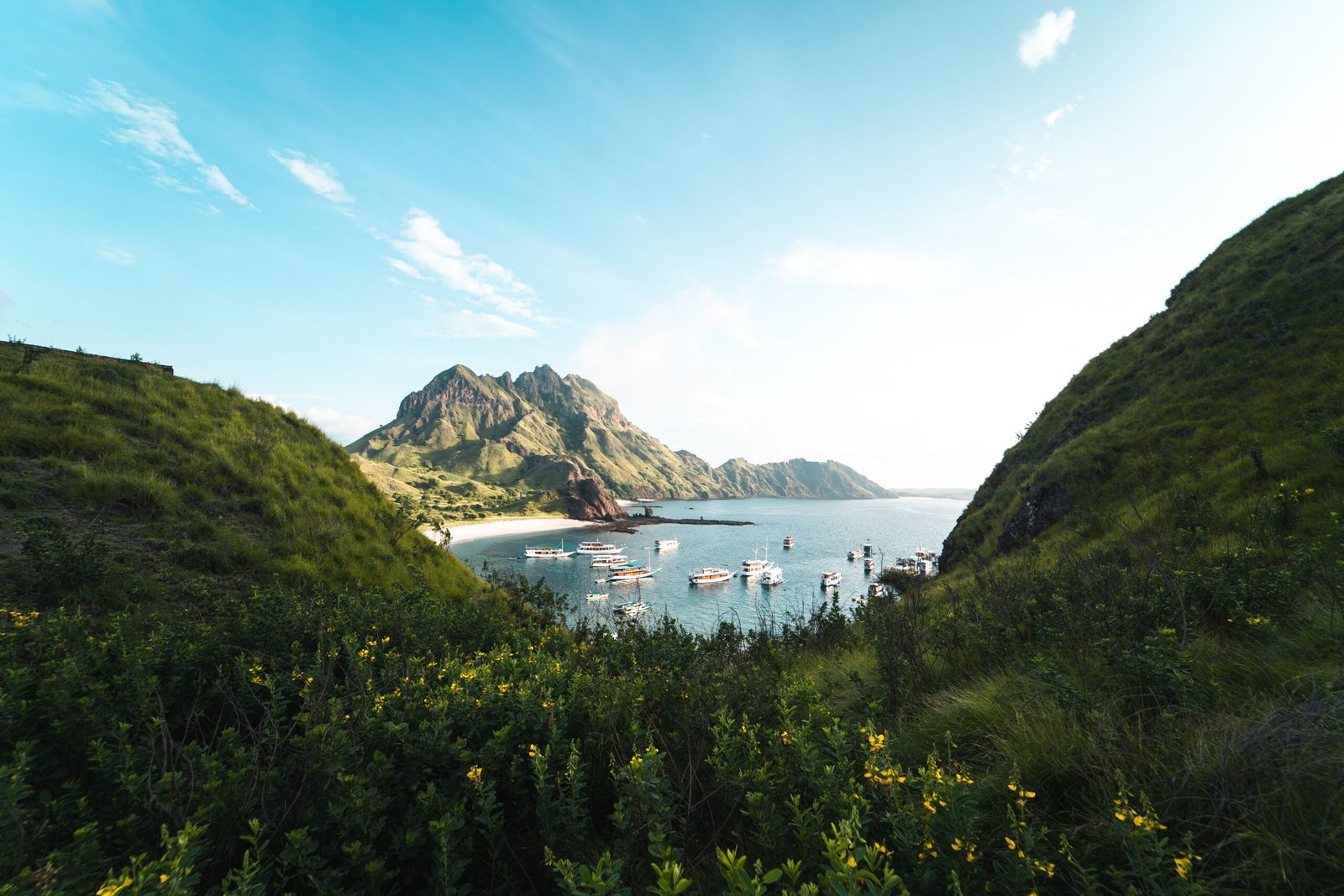 komodo