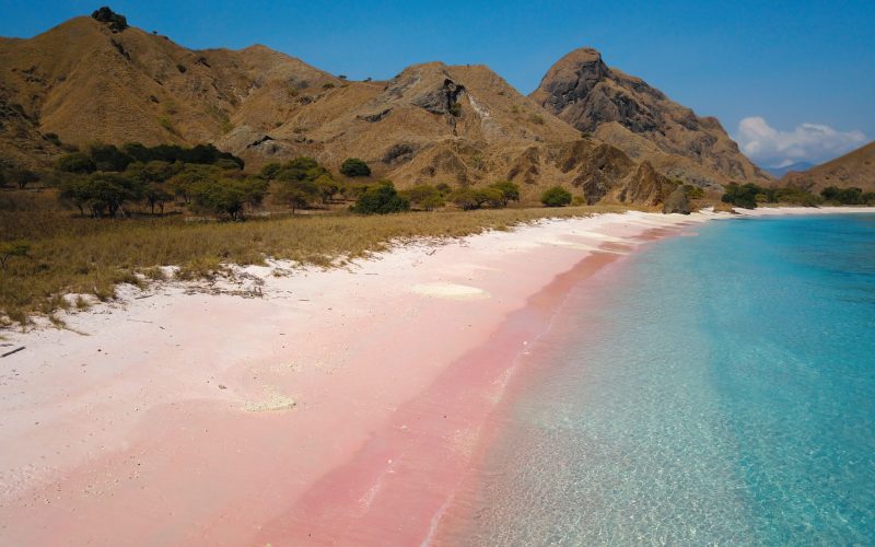 pink beach